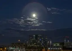 爱游戏在线- 纽卡斯尔足球俱乐部 